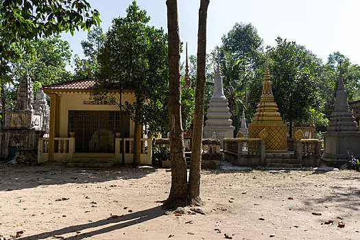 soi cau rong vang