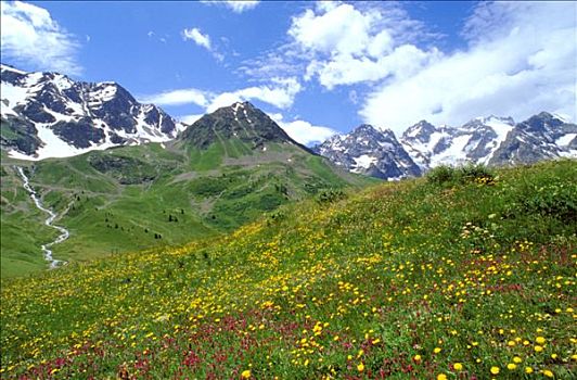 xsvl du doan
