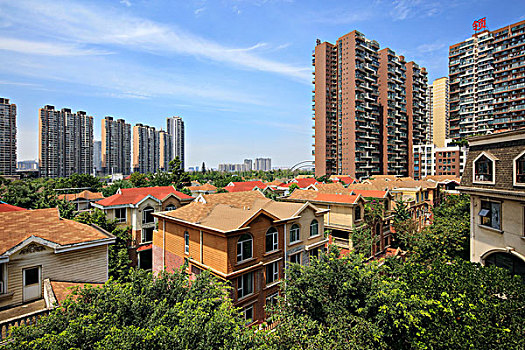 soi câu 555