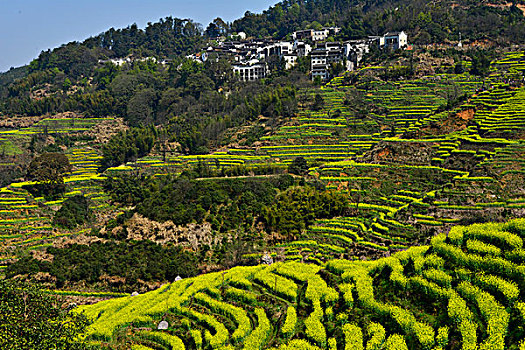 du doan xo so quang nam
