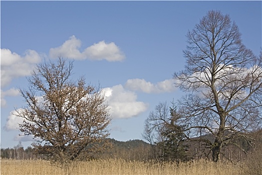 du doan lo
