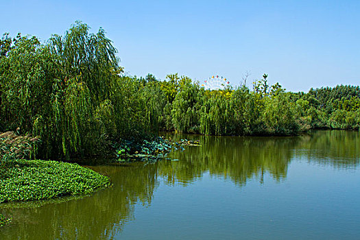 cầu xổ số khánh hòa