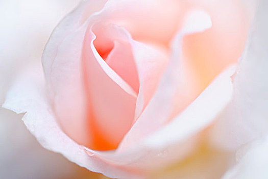 dự đoán lô đề miền nam