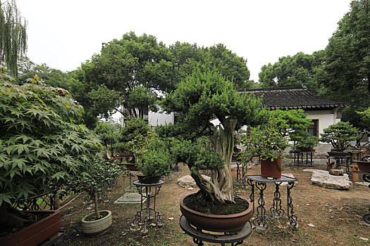 soi cau chuan xsmb