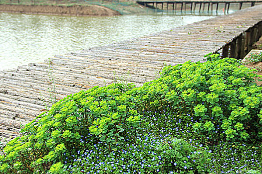 soi cầu đề