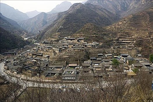 rong bach kim 666 mien bac