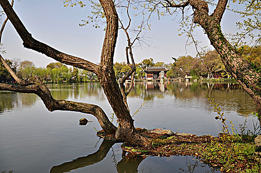 chốt loto