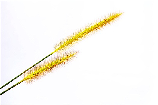 kết quả xổ số miền bắc ngày hôm qua
