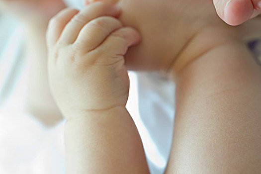 dự báo kết quả xổ số miền bắc
