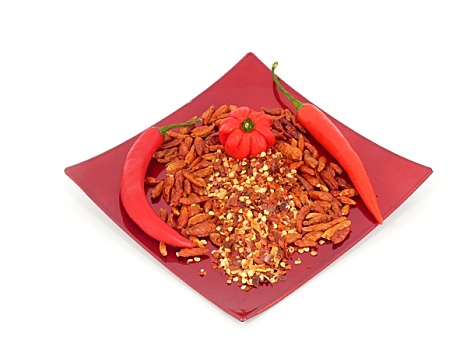 xổ số miền bắc