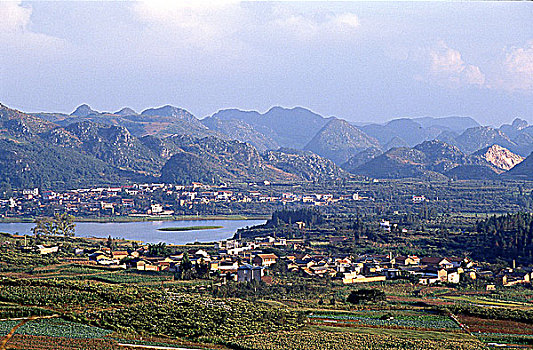 soi cầu 336