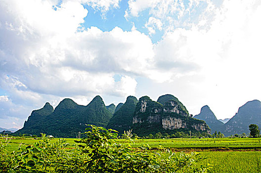 soi cau lo bach thu mien bac hom nay mien phi