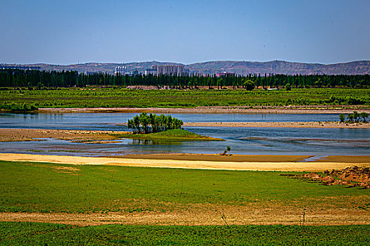 soi câu bach thu