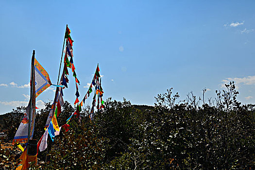 soi cau bach kim mien phi