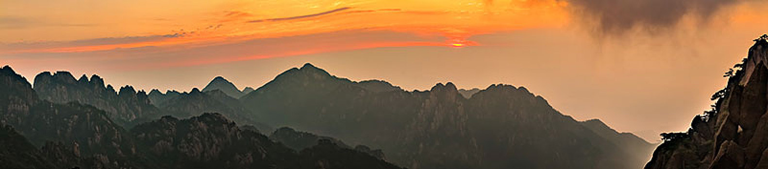 lô trực tuyến