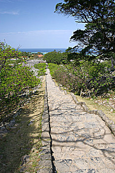 soi cau bach thu888