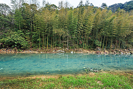 sỗ mien bac
