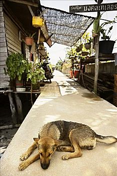 thống kê kết quả xổ số