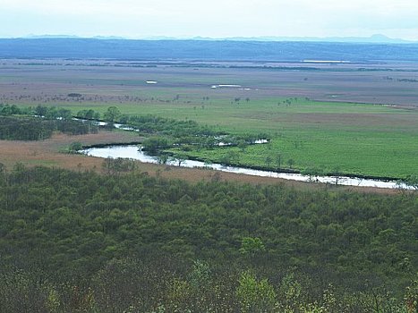 dự đoán bạch thủ lô