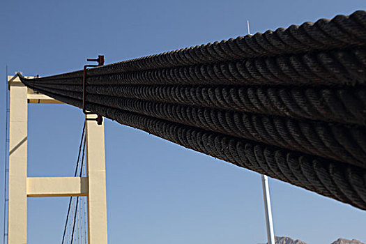 cau 2888