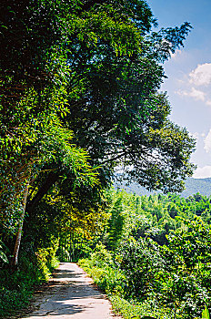du doan xo so miễn nam