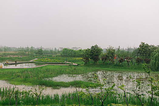 soi cầu miễn phí hôm nay