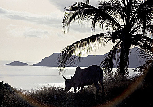 xổ số 3