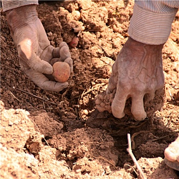 soi lô kép miễn phí