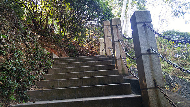 soi cau tp 3s
