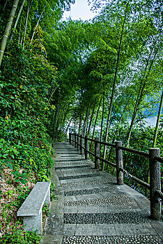 đề bạch thủ hôm nay