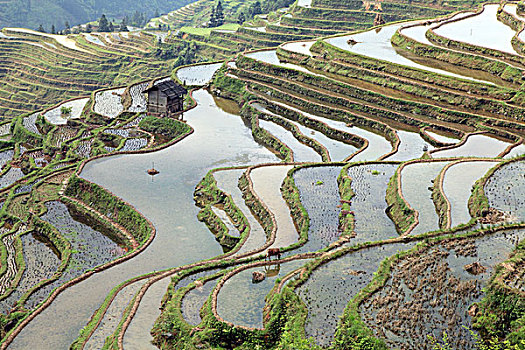 soi cau du doan kqxs hom nay