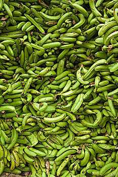 cách chơi đề dàn