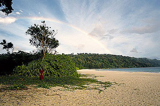 soi cau bach kim