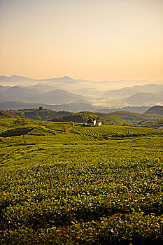 xo so quang ninh