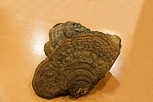 cầu lô đẹp