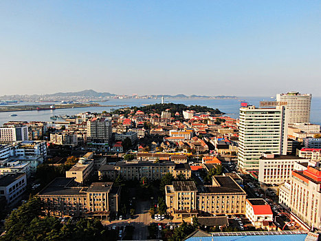 soi cau hoang minh