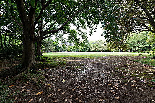 soi cau bach kim mb