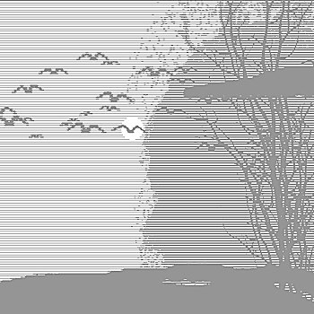 soicau lode chuan