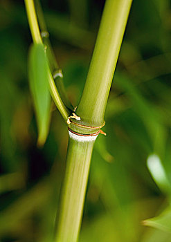xổ số miền nam ngày thứ ba