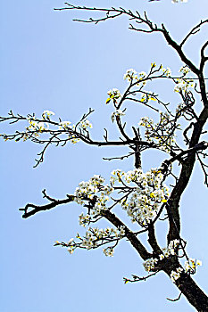 soi cầu lô hôm nay
