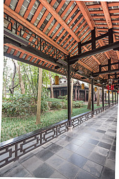 soi cầu rong bạch kim
