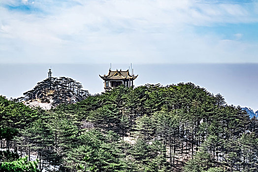 soi cau dng
