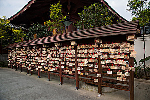 soicau rongbachkim