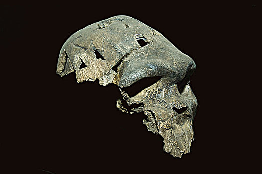 dàn đề chuẩn