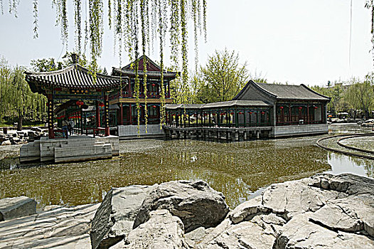 bạch thủ lô khung 5 ngày