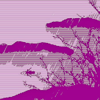xs thu 6