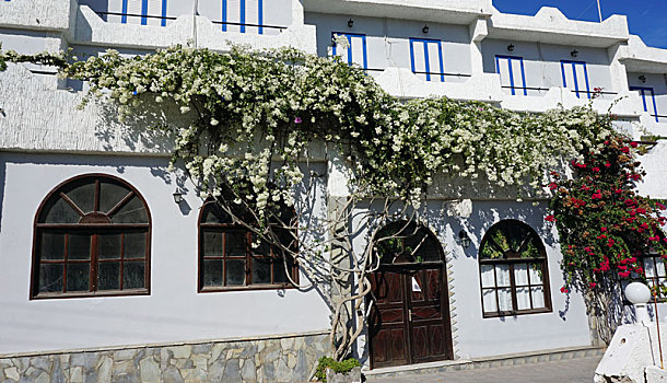xsmb dại phát