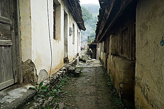 xskt ca mau