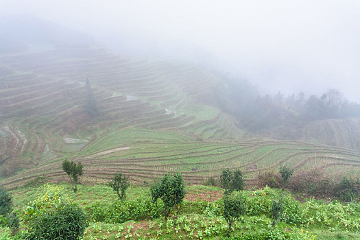 cách chơi lô hiệu quả