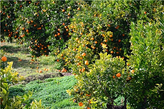 dự đoán xổ số đồng tháp